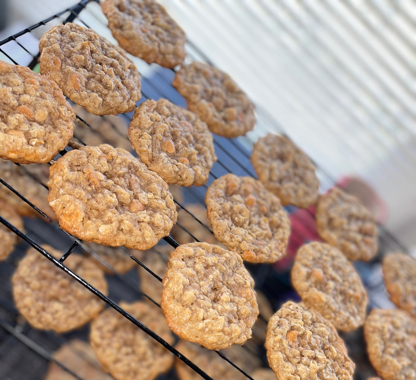 Oatmeal Butterscotch
